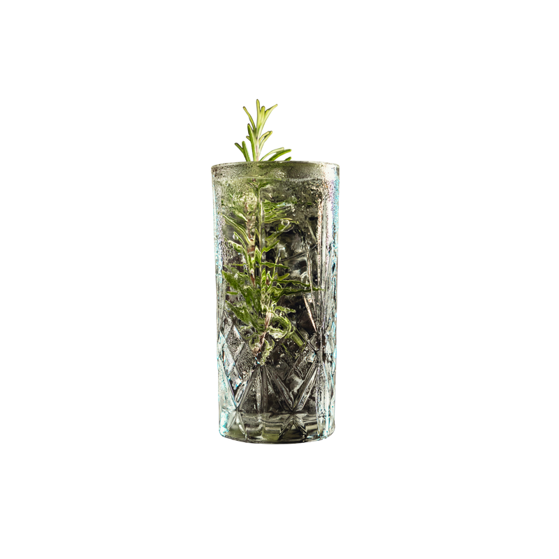 Gin Tonic