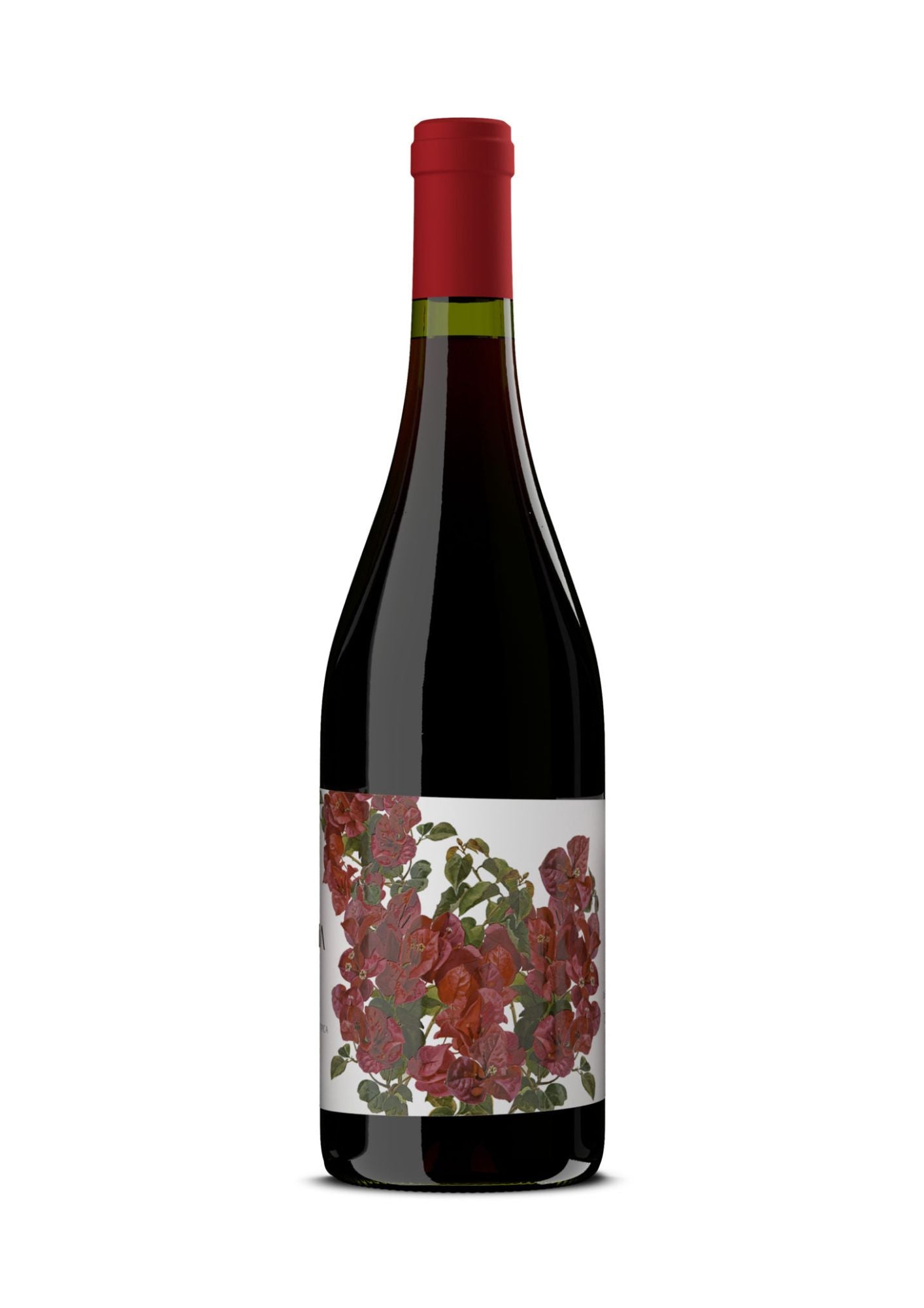 Grottaia rosso Toscana IGT 2022