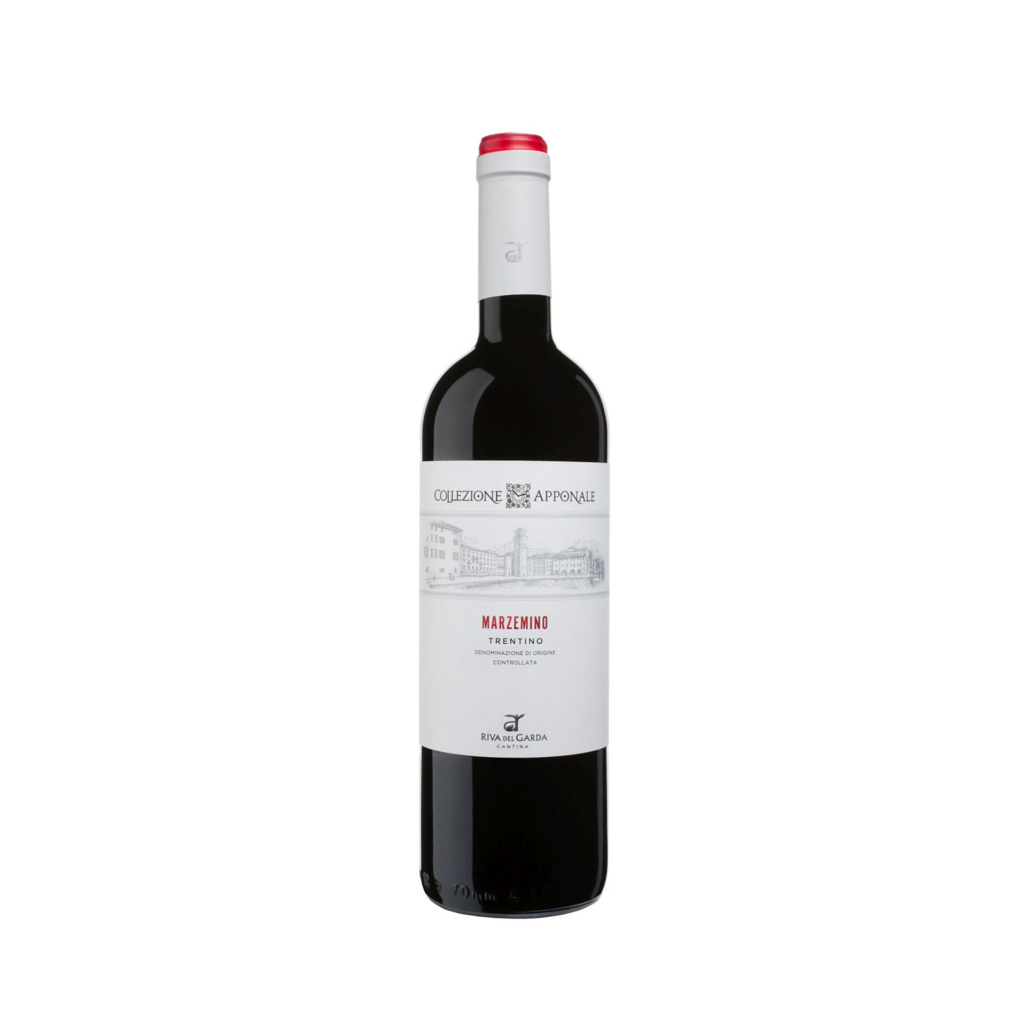 Marzemino TN DOC Terrazze della Luna 2024 75 cl