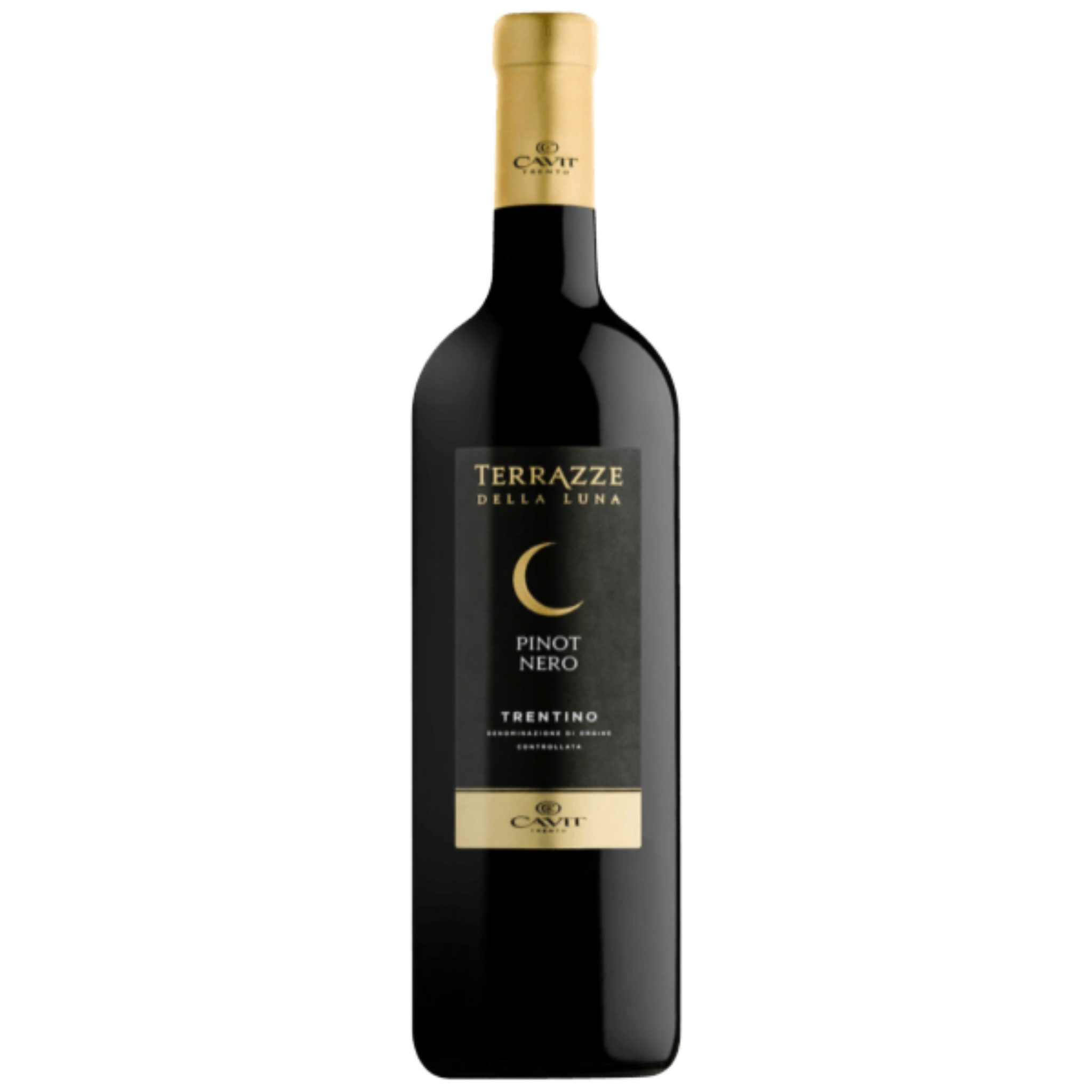 Pinot Nero TN DOC Terrazze della Luna 2024 75 cl