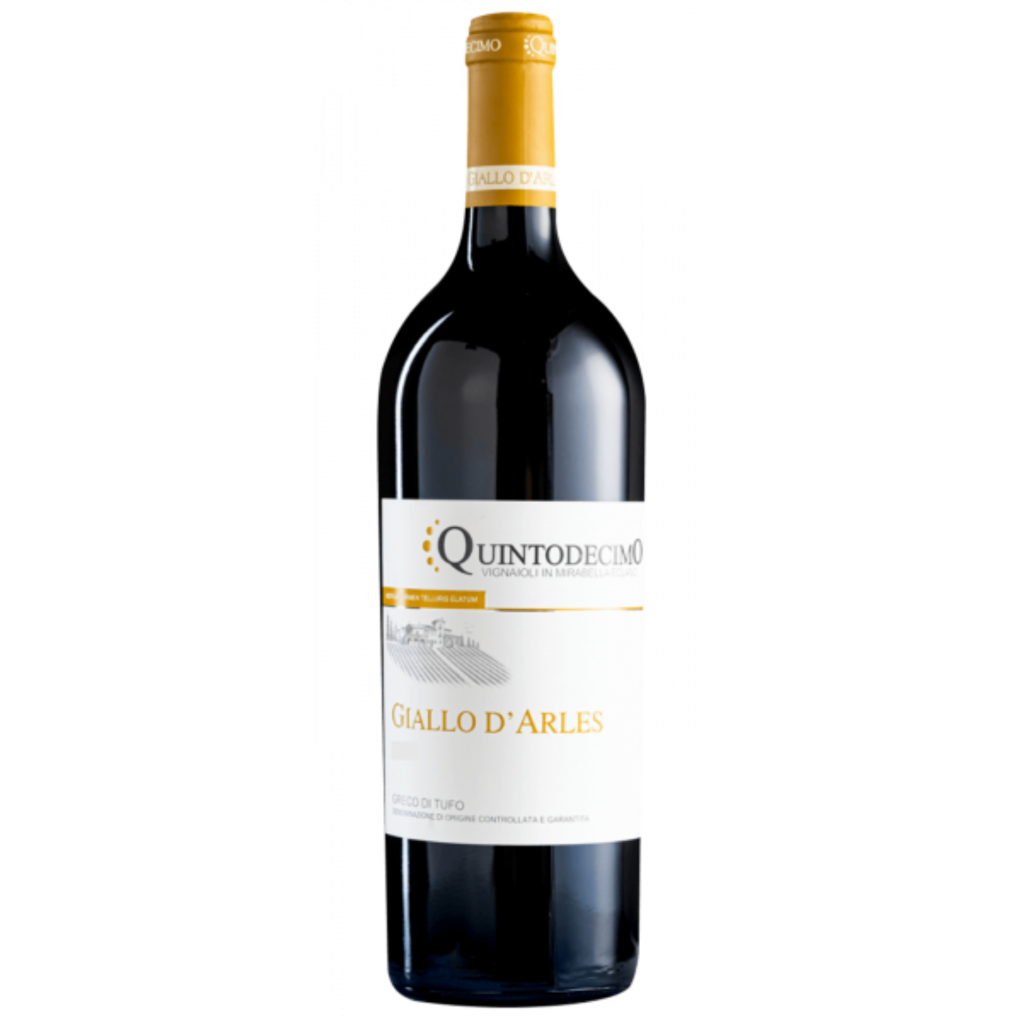 QUINTODECIMO GIALLO D'ARLES 75 cl 2025