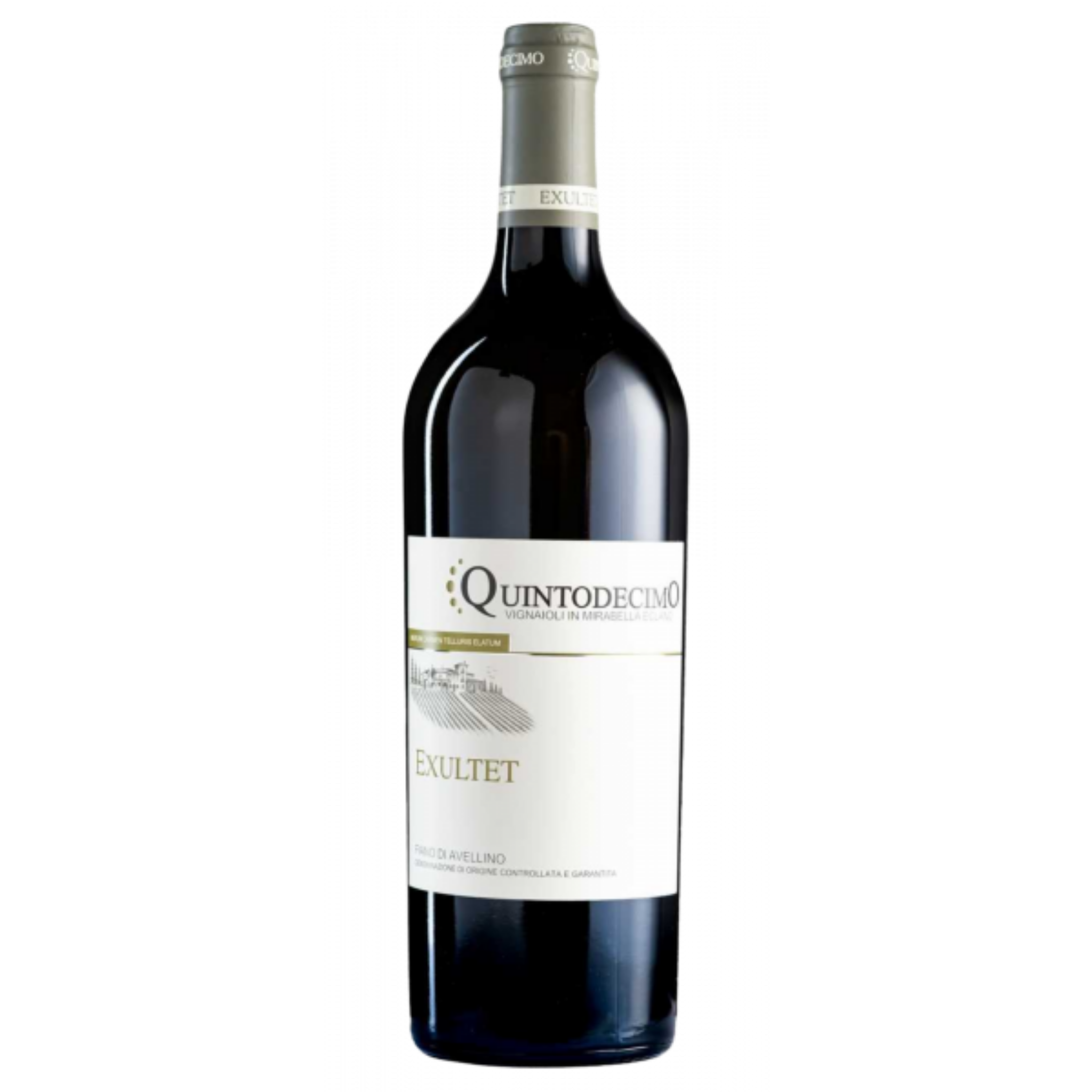 QUINTODECIMO EXULTET FIANO 75 cl 2025
