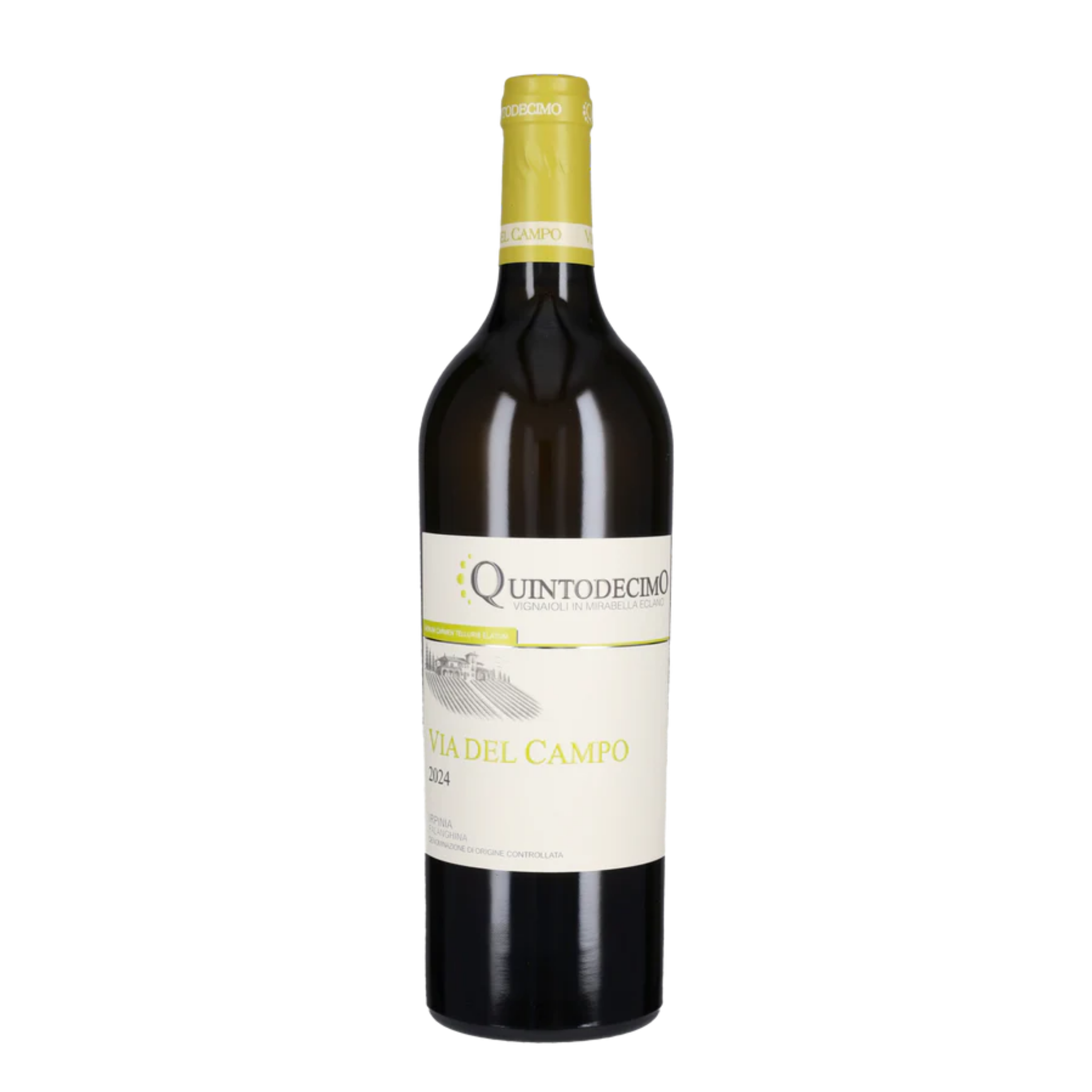 QUINTODECIMO VIA DEL CAMPO 75 cl 2025