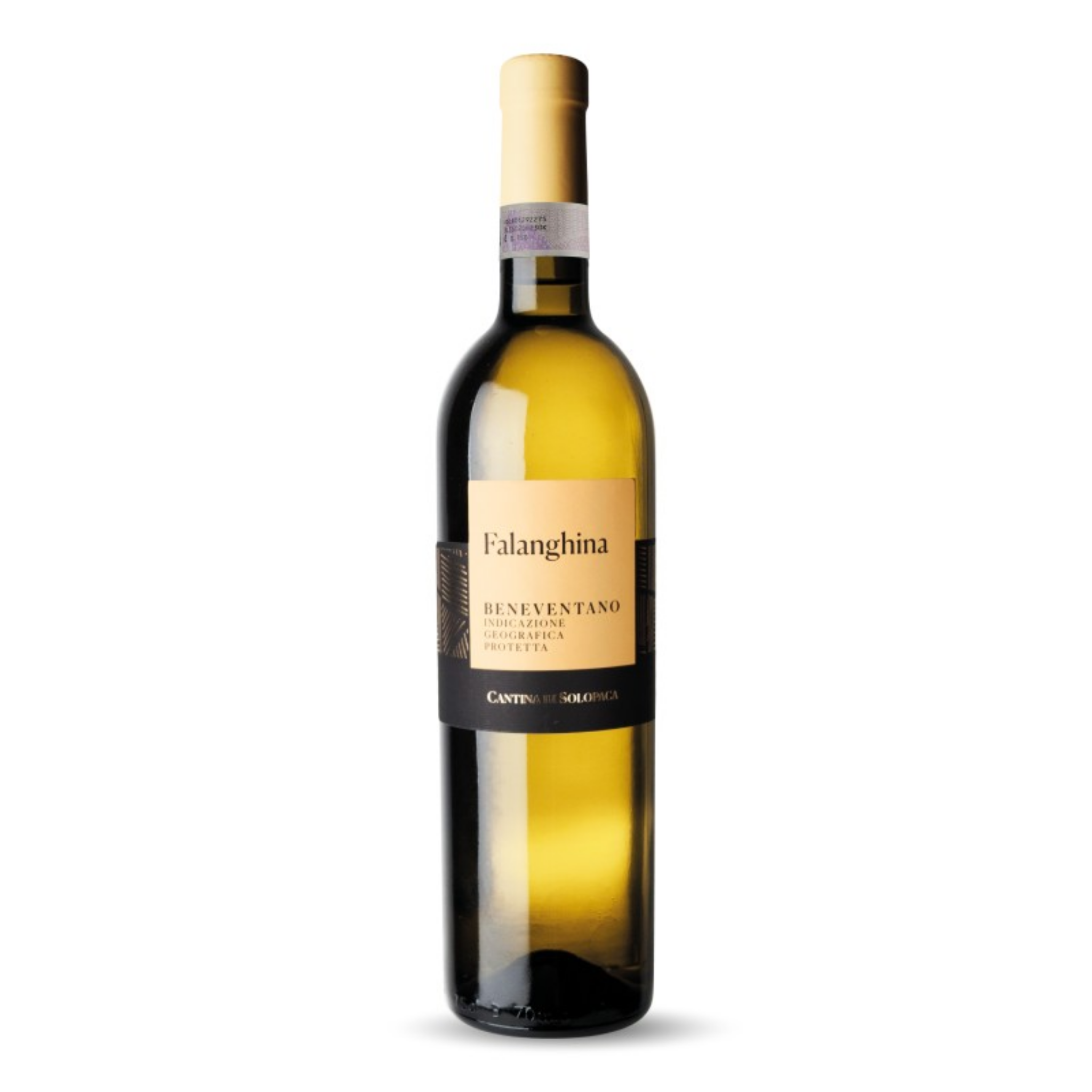 FALANGHINA BENEVENTANO IGP PRIME VIGNE 2025 75 cl