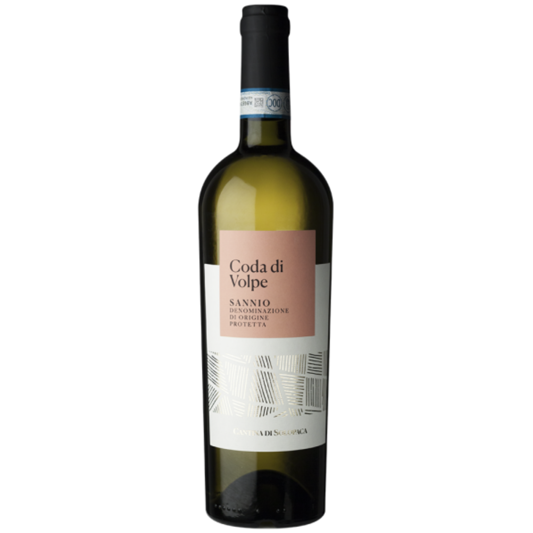 CODA DI VOLPE SANNIO DOP PRIME VIGNE 2025 75 cl