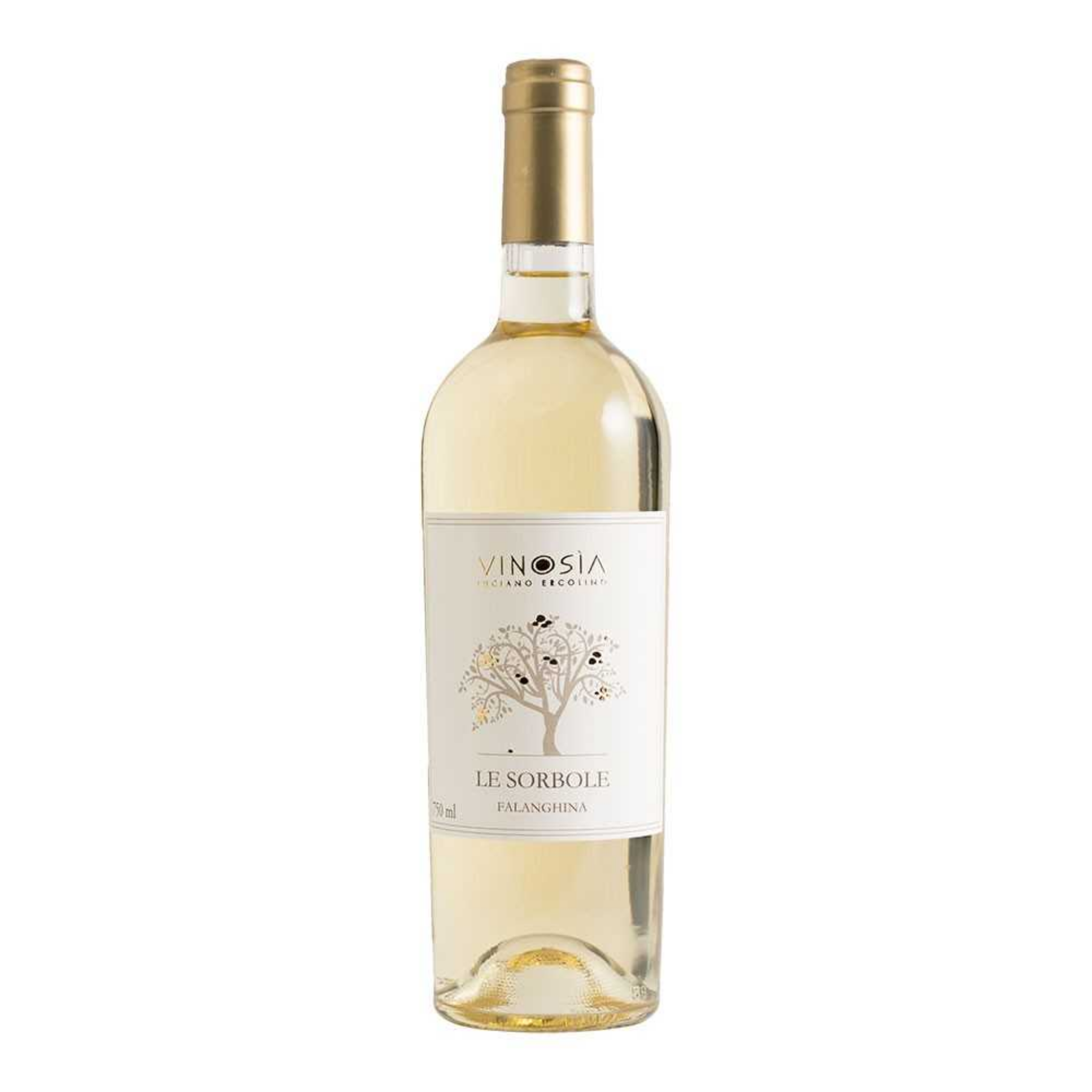 VINOSIA LE SORBOLE BIANCO CAMPANIA FALANGHINA IGT 2025 75 cl
