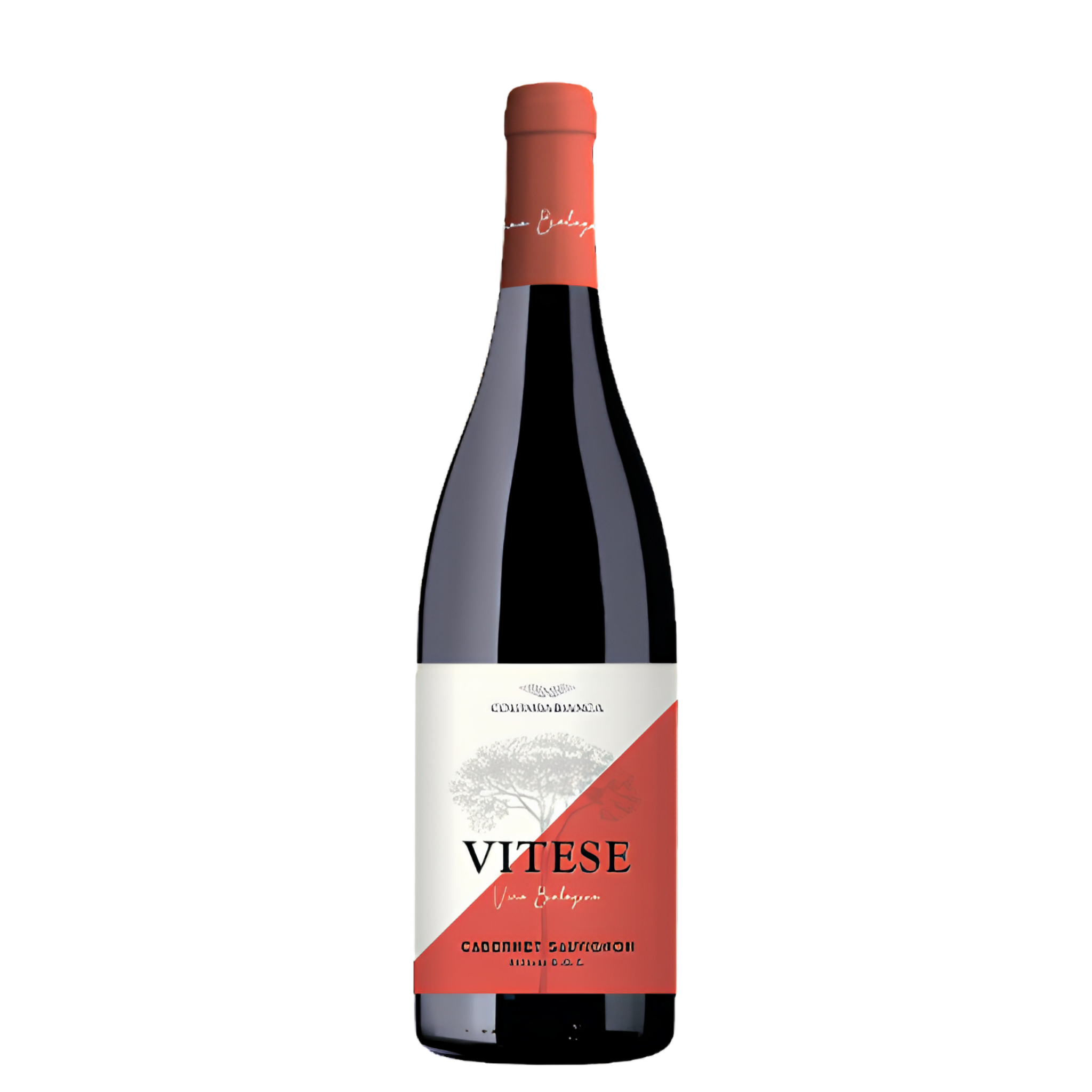 Cabernet Sauvignon "DOC Sicilia" Vitese BIO 2024 75cl