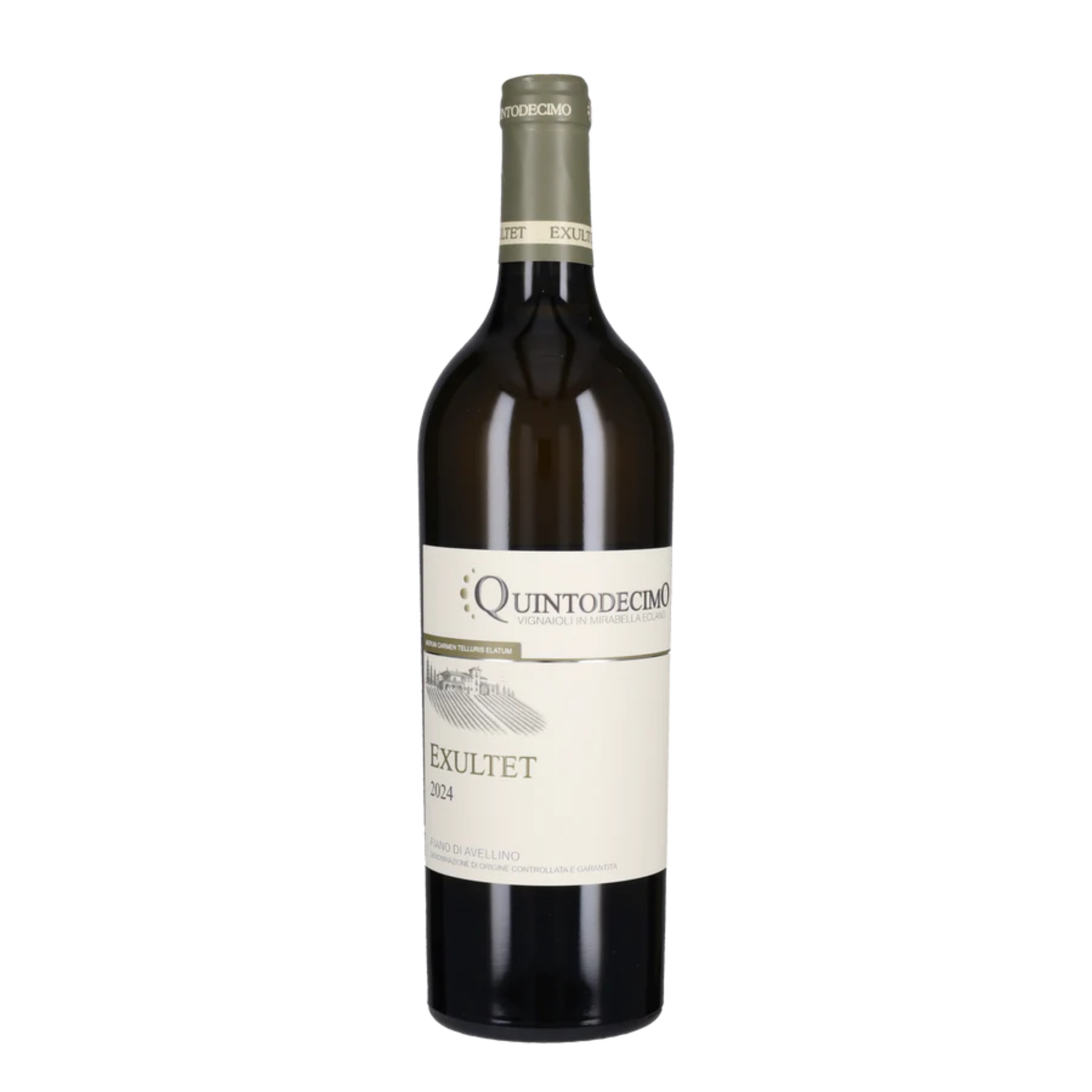 Quintodecimo Exultet  Fiano di Avellino DOCG 2025 75 cl