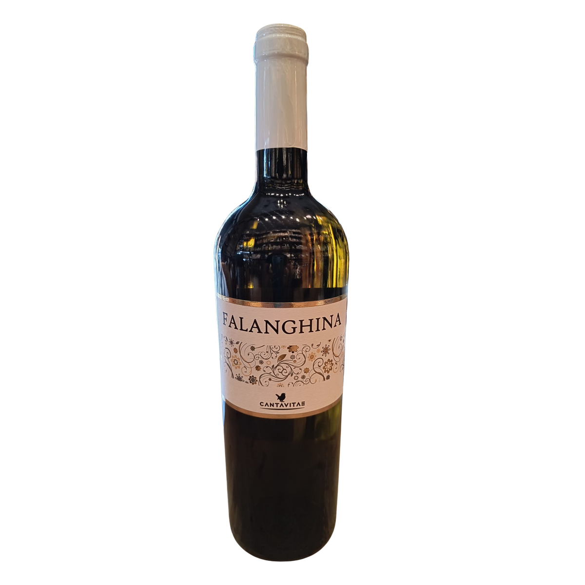 FALANGHINA IGP CAMPANIA 2025 CANTAVITAE 0,70 CL 12,5%VOL