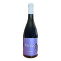 AGLIANICO FRIZZANTE  IGP TRILLO  CANTINA DI SOLOPACA 75CL