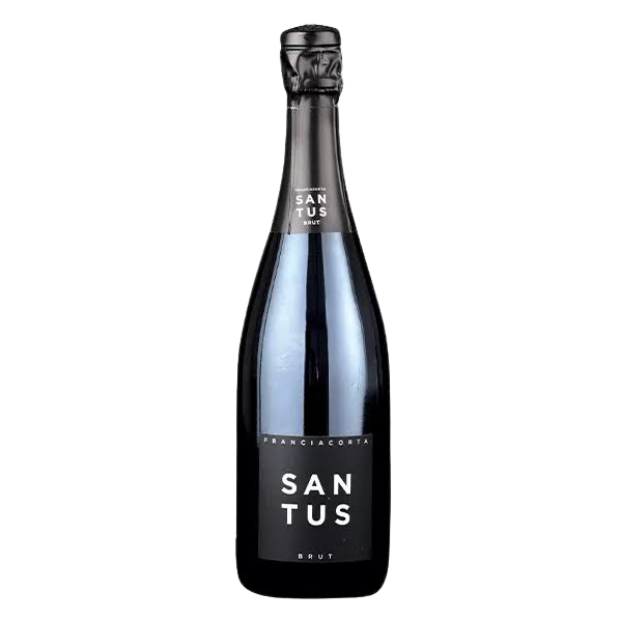 SANTUS FRANCIACORTA BRUT 0,75 LT