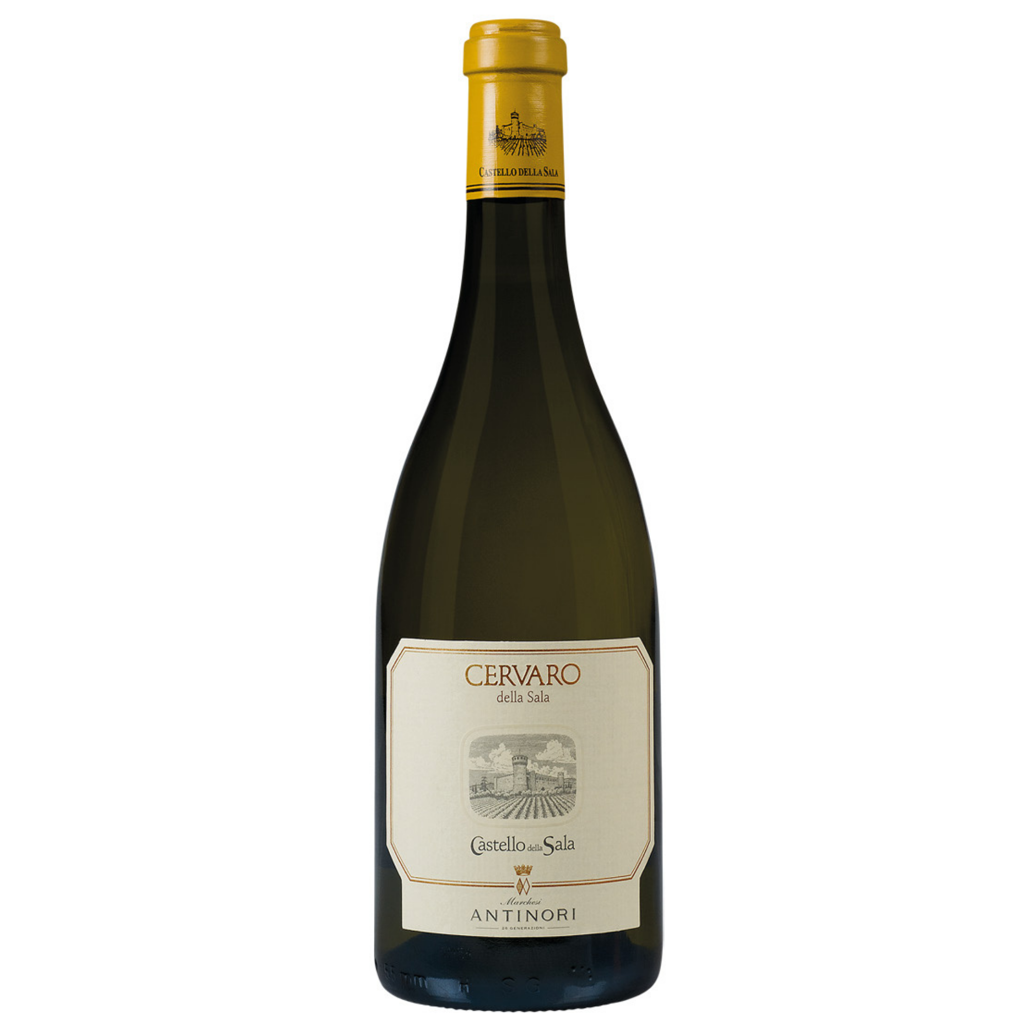 CERVARO DELLA SALA 2024 - Umbria Igt - Bianco