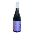 AGLIANICO FRIZZANTE  IGP TRILLO  CANTINA DI SOLOPACA 75CL